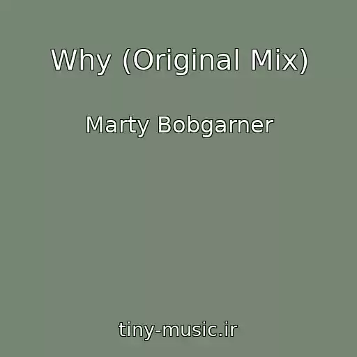 کاور آهنگ Why (Original Mix) از Marty Bobgarner