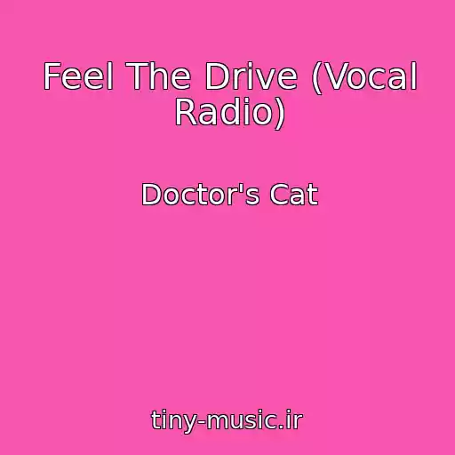 کاور آهنگ Feel The Drive (Vocal Radio) از Doctor's Cat