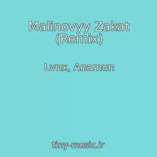 کاور آهنگ Malinovyy Zakat (Remix) از Lvnx, Anamun
