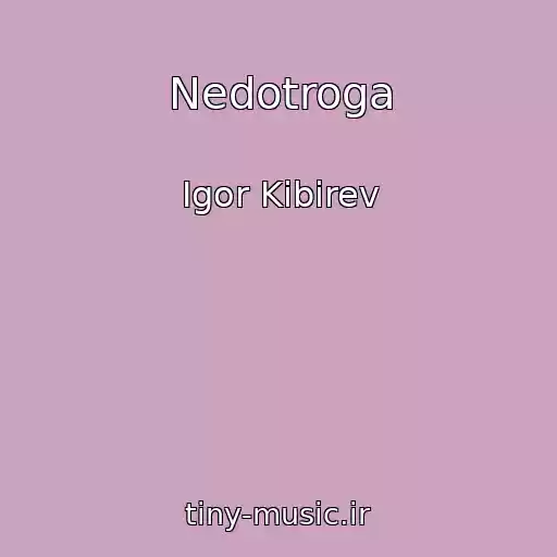 کاور آهنگ Nedotroga از Igor Kibirev