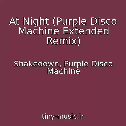 کاور آهنگ At Night (Purple Disco Machine Extended Remix) از Shakedown, Purple Disco Machine