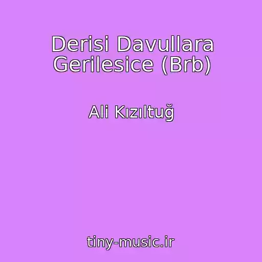 کاور آهنگ Derisi Davullara Gerilesice (Brb) از Ali Kızıltuğ