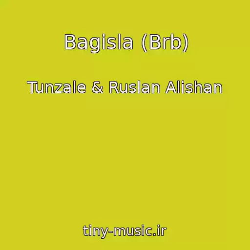 کاور آهنگ Bagisla (Brb) از Tunzale & Ruslan Alishan