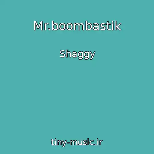 کاور آهنگ Mr.boombastik از Shaggy