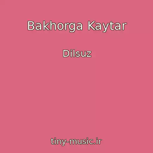 کاور آهنگ Bakhorga Kaytar از Dilsuz