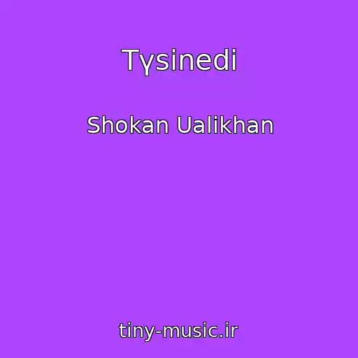 کاور آهنگ Tүsіnedі از Shokan Ualikhan
