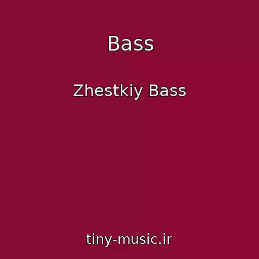 کاور آهنگ Bass از Zhestkiy Bass