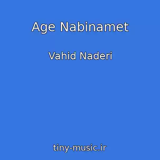 کاور آهنگ Age Nabinamet از Vahid Naderi