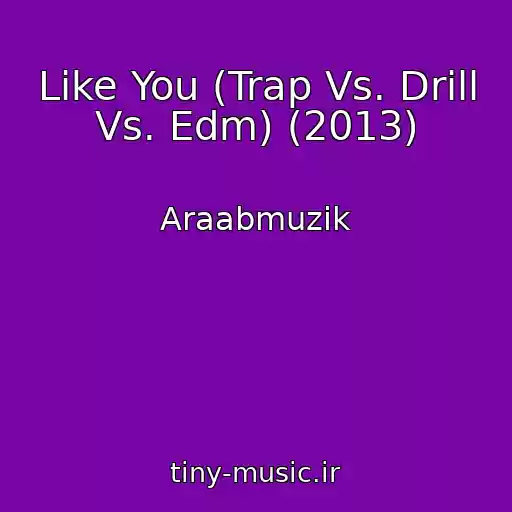 کاور آهنگ Like You (Trap Vs. Drill Vs. Edm) (2013) از Araabmuzik