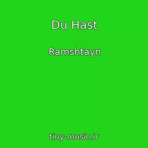 کاور آهنگ Du Hast از Ramshtayn