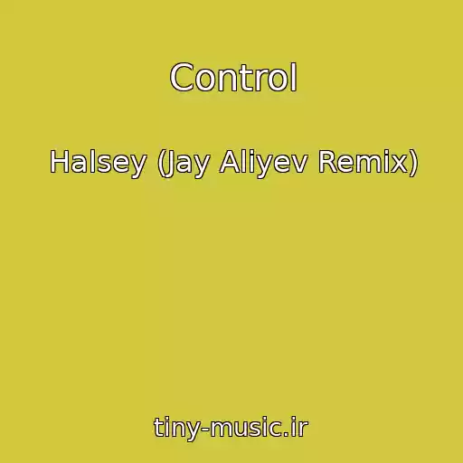 کاور آهنگ Control از Halsey (Jay Aliyev Remix)