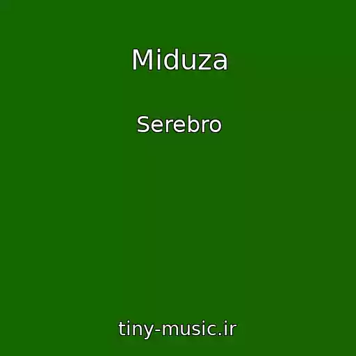 کاور آهنگ Miduza از Serebro