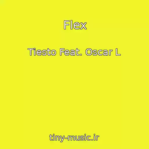 کاور آهنگ Flex از Tiesto Feat. Oscar L