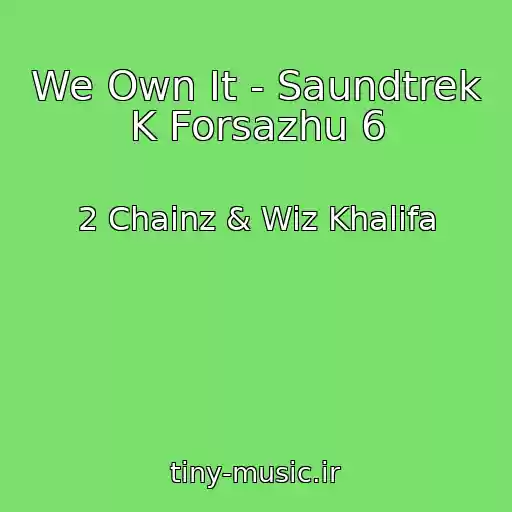 کاور آهنگ We Own It - Saundtrek K Forsazhu 6 از 2 Chainz & Wiz Khalifa