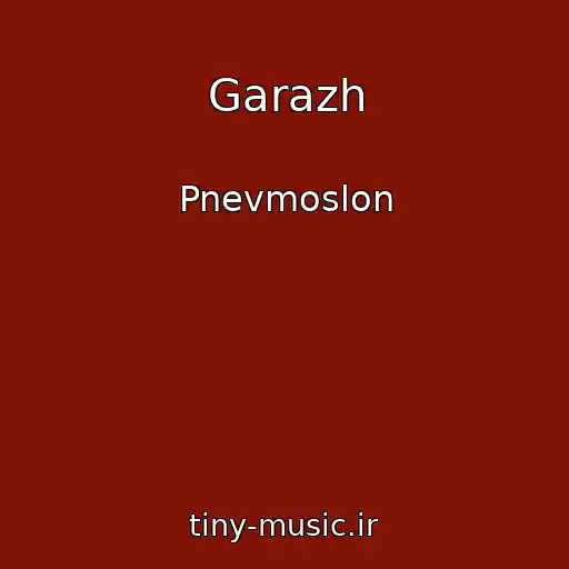 کاور آهنگ Garazh از Pnevmoslon