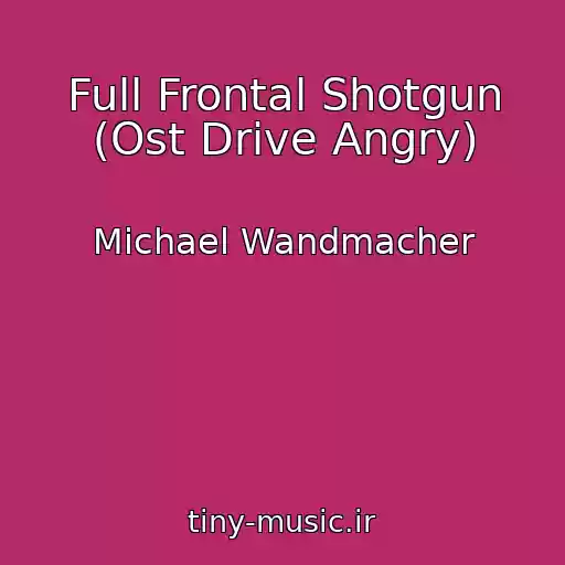 کاور آهنگ Full Frontal Shotgun (Ost Drive Angry) از Michael Wandmacher