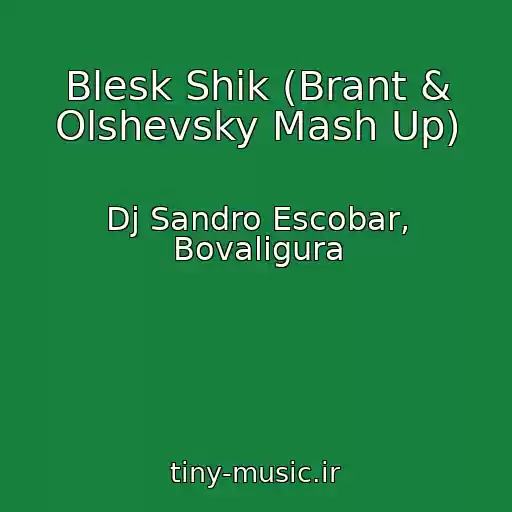 کاور آهنگ Blesk Shik (Brant & Olshevsky Mash Up) از Dj Sandro Escobar, Bovaligura