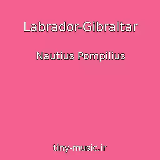 کاور آهنگ Labrador-Gibraltar از Nautius Pompilius
