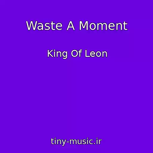 کاور آهنگ Waste A Moment از King Of Leon