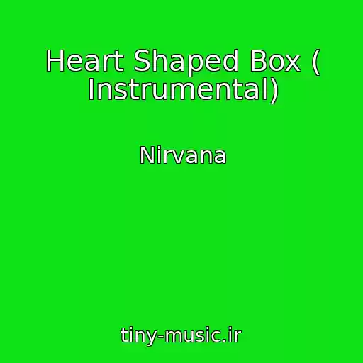 کاور آهنگ Heart Shaped Box ( Instrumental) از Nirvana