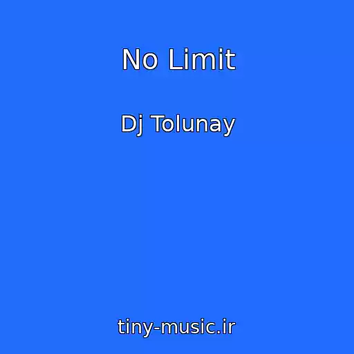 کاور آهنگ No Limit از Dj Tolunay