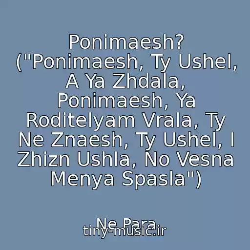 کاور آهنگ Ponimaesh? ("Ponimaesh, Ty Ushel, A Ya Zhdala, Ponimaesh, Ya Roditelyam Vrala, Ty Ne Znaesh, Ty Ushel, I Zhizn Ushla, No Vesna Menya Spasla") از Ne Para