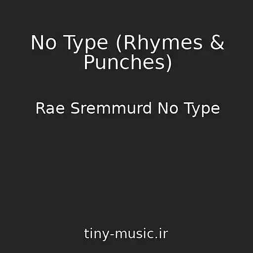کاور آهنگ No Type (Rhymes & Punches) از Rae Sremmurd No Type