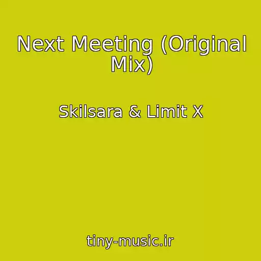 کاور آهنگ Next Meeting (Original Mix) از Skilsara & Limit X