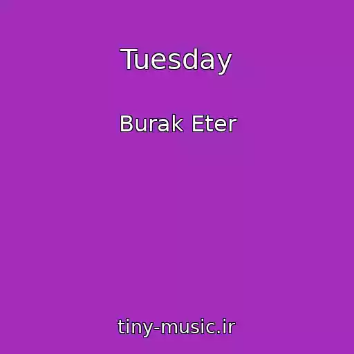 کاور آهنگ Tuesday از Burak Eter