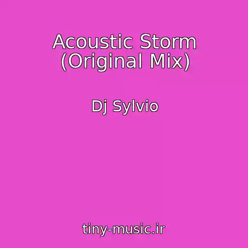 کاور آهنگ Acoustic Storm (Original Mix) از Dj Sylvio