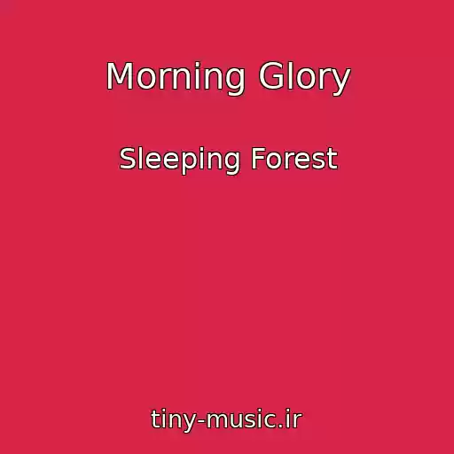 کاور آهنگ Morning Glory از Sleeping Forest