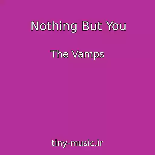 کاور آهنگ Nothing But You از The Vamps