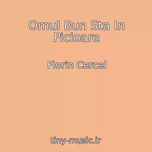 کاور آهنگ Omul Bun Sta In Picioare از Florin Cercel
