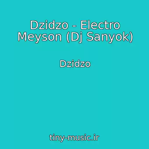 کاور آهنگ Dzіdzo - Electro Meyson (Dj Sanyok) از Dzіdzo