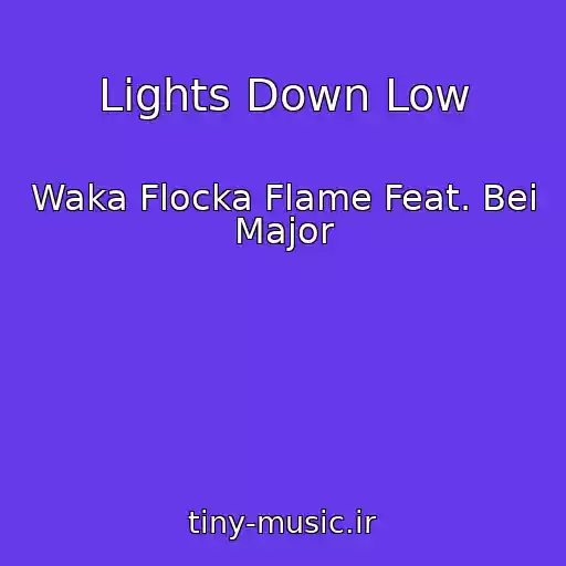کاور آهنگ Lights Down Low از Waka Flocka Flame Feat. Bei Major