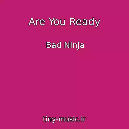 کاور آهنگ Are You Ready از Bad Ninja