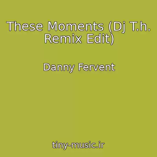 کاور آهنگ These Moments (Dj T.h. Remix Edit) از Danny Fervent
