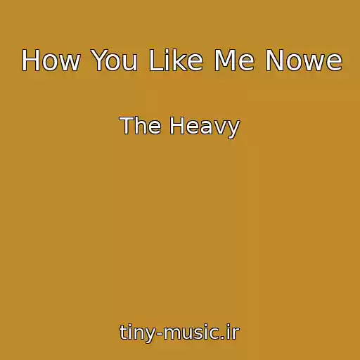کاور آهنگ How You Like Me Nowe از The Heavy