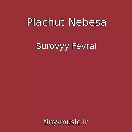 کاور آهنگ Plachut Nebesa از Surovyy Fevral