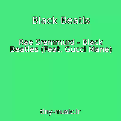 کاور آهنگ Black Beatls از Rae Sremmurd - Black Beatles (Feat. Gucci Mane)