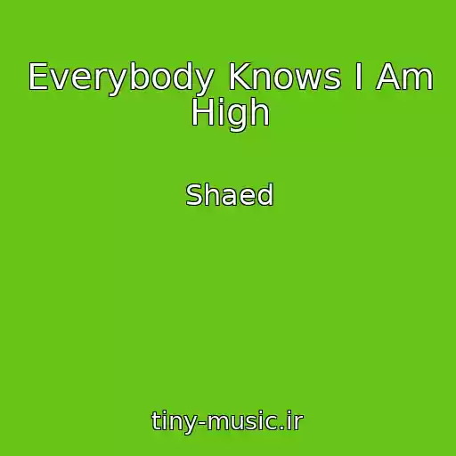 کاور آهنگ Everybody Knows I Am High از Shaed