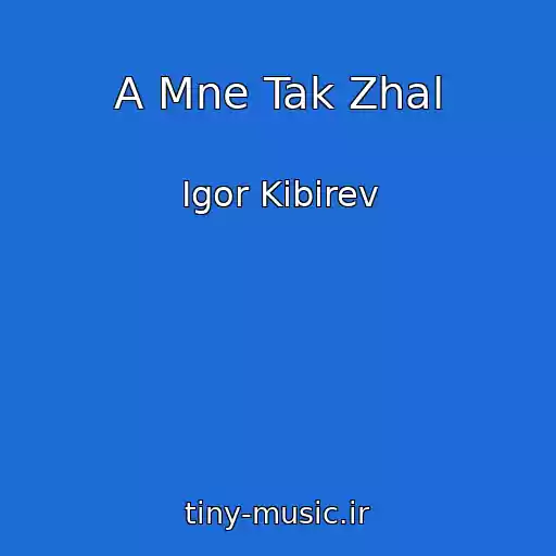 کاور آهنگ A Mne Tak Zhal از Igor Kibirev
