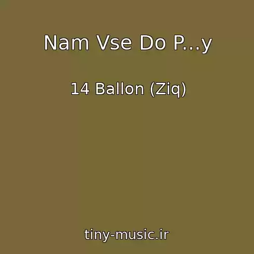 کاور آهنگ Nam Vse Do P...y از 14 Ballon (Ziq)
