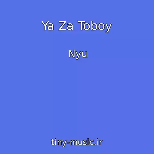 کاور آهنگ Ya Za Toboy از Nyu