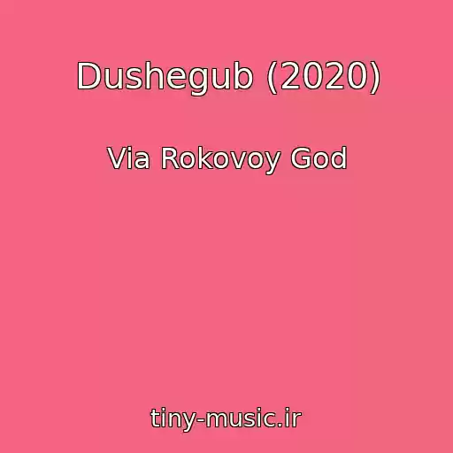 کاور آهنگ Dushegub (2020) از Via Rokovoy God