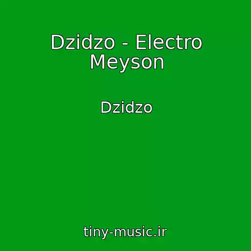 کاور آهنگ Dzіdzo - Electro Meyson از Dzіdzo