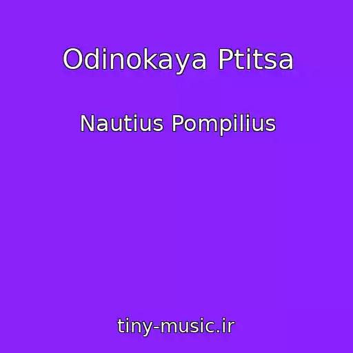 کاور آهنگ Odinokaya Ptitsa از Nautius Pompilius