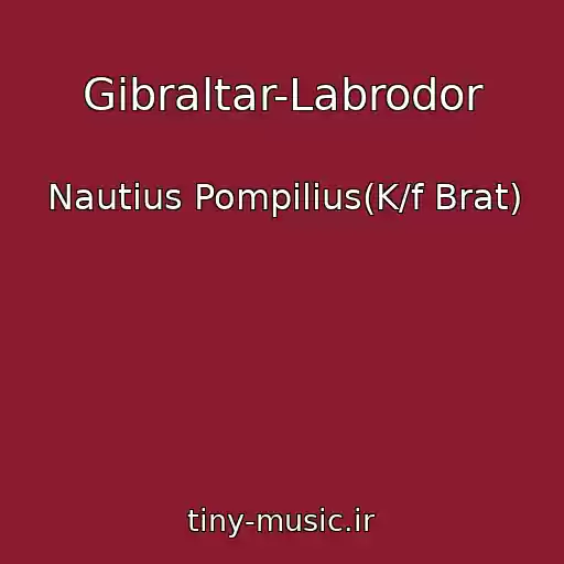 کاور آهنگ Gibraltar-Labrodor از Nautius Pompilius(K/f Brat)