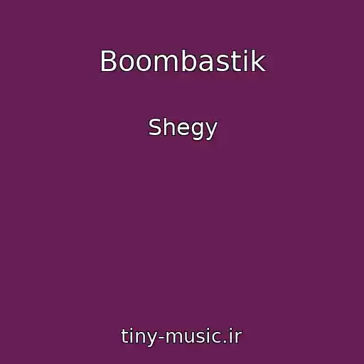 کاور آهنگ Boombastik از Shegy