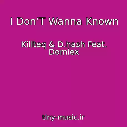 کاور آهنگ I Don’T Wanna Known از Killteq & D.hash Feat. Domiex